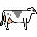 Milk Cow Animal Icon