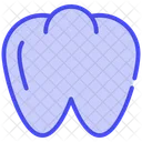Milk Teeth Icon
