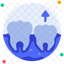 Milk Tooth Baby Teeth Deciduous Icon
