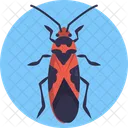 Milkweed Bug  Icon