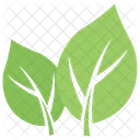 Shape Milkweed Wild Icon
