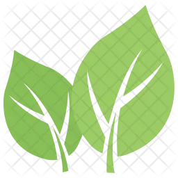 Milkweed Leaf  Icon