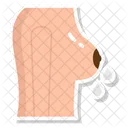 Milky breasts  Icon