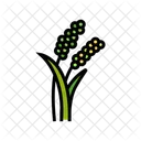 Millet Plant  Icon