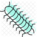 Milpies Insecto Patas Icono