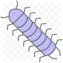 Milpies Insecto Patas Icono