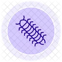 Milpies Insecto Patas Icono