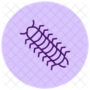 Milpies Insecto Patas Icono