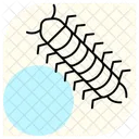 Milpies Insecto Patas Icono