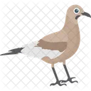 Bird Mimidae Mississippi Symbol Icon