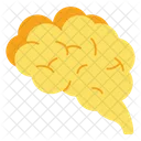 Mind Brain Thinking Icon
