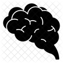 Mind  Icon