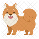 Mini Pomerania Dog Puppy Icon