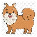 Mini Pomerania Dog Puppy Icon
