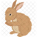 Rabbit Easter Bunny Easter Rabbit 아이콘
