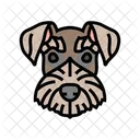 Miniature Schnauzer Dog Icon