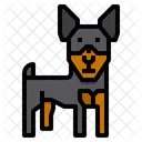 Miniature Pinsher Dog Animal Icon