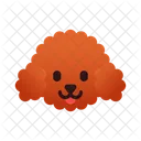 Miniature Poodle  Icon