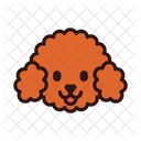 Miniature Poodle Dog Puppy Icon