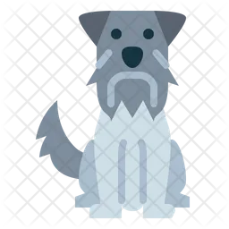 Miniature Schnauzer  Icon