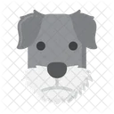 Miniature Schnauzer dog  Icon
