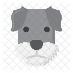 Miniature Schnauzer dog  Icon