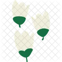 Flower Bloom Blossom Icon