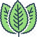 Mint Peppermint Herbal Icon