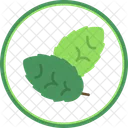 Mint  Icon