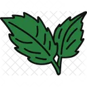 Peppermint Food Vegetable Icon