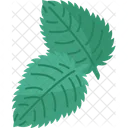 Mint Leaves Menthol Icon