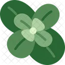 Mint Leaves Herb Icon