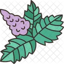 Mint Flower Herb Icon