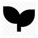 Mint Crypto Blockchain Icon
