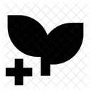 Mint Crypto Blockchain Icon