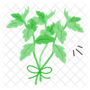 Mint Leafy Spearmint Icon