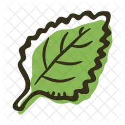 Mint leaf  Icon