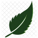 Mint Leaf  Icon