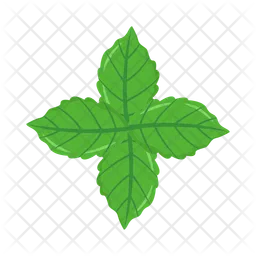 Mint leaves  Icon