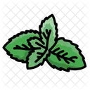 Mint Herbs Spices Icon