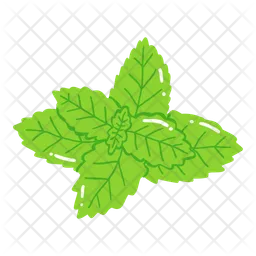 Mint leaves  Icon