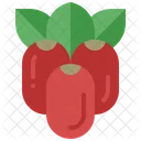 Miracle Fruit Berry Icon