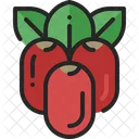 Miracle Fruit Berry Icon