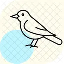 Mirlo Pajaro Negro Icono