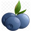 Mirtilo Fruta Comida Ícone