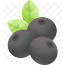 Amora Fruta Comida Ícone