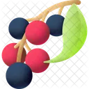 Mirtilo Vitamina Uva Ícone