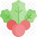 Mistel  Symbol