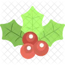 Mistel Stechpalme Beeren Symbol