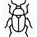 Mistkafer Insekt Kafer Symbol